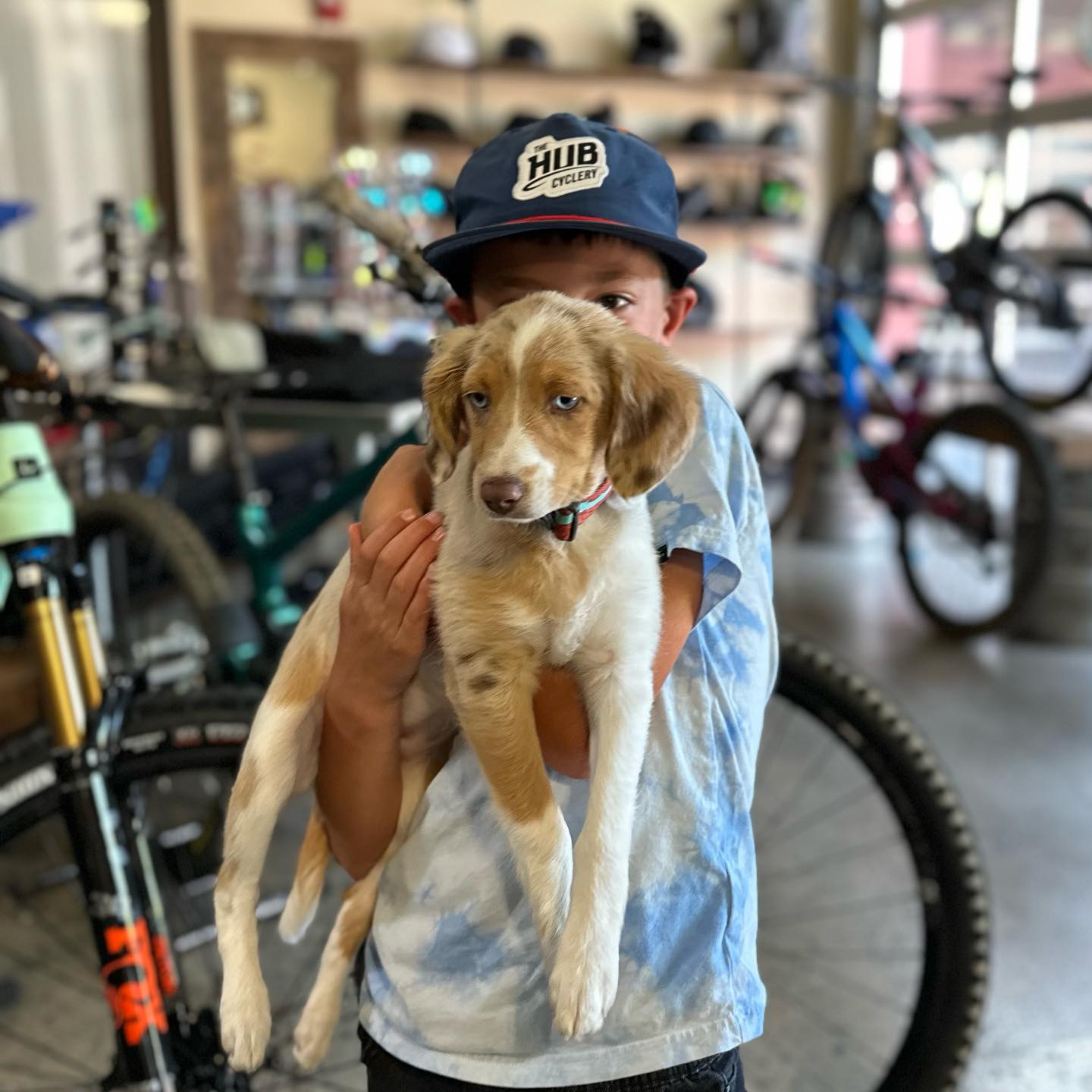 henry and dog ruby at the hub cyclery
