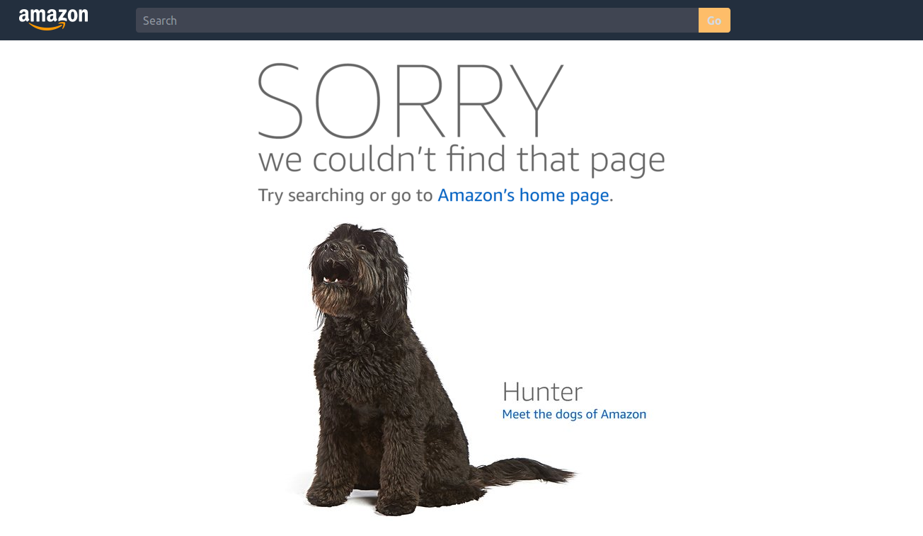 404 error on Amazon